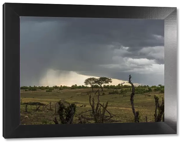 Africa, Zimbabwe, Hwange National park, Thunderstorms are common in the wet season