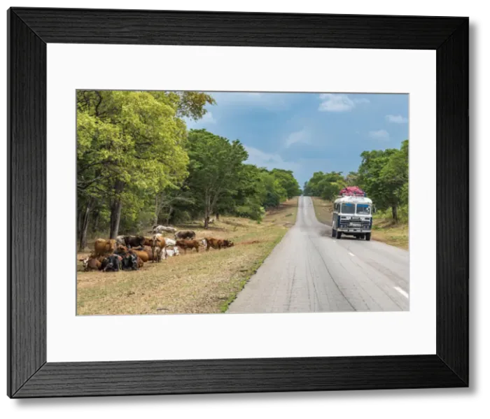 Framed Print : Africa, Zimbabwe, Bulawayo. A public bus on the main road Framed Print : Africa, Zimbabwe, Bulawayo. A public bus on the main road