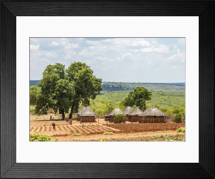 Framed Print : Africa, Zimbabwe, Matabeleland north. A traditional rural homestead Framed Print : Africa, Zimbabwe, Matabeleland north. A traditional rural homestead