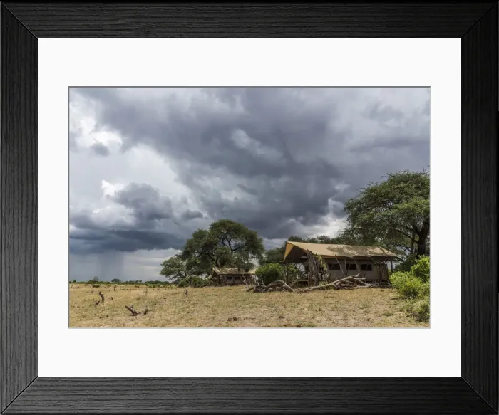 Framed Print : Africa, Zimbabwe, Hwange National Park. Tented camp in the bush Framed Print : Africa, Zimbabwe, Hwange National Park. Tented camp in the bush