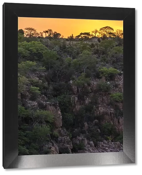 Africa, Zimbabwe, sunset in the forest of the Chivalila falls near to Gonarezhou