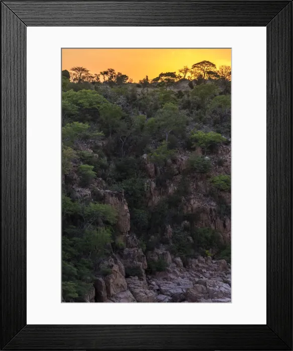 Framed Print : Africa, Zimbabwe, sunset in the forest of the Chivalila falls near to Gonarezhou Framed Print : Africa, Zimbabwe, sunset in the forest of the Chivalila falls near to Gonarezhou