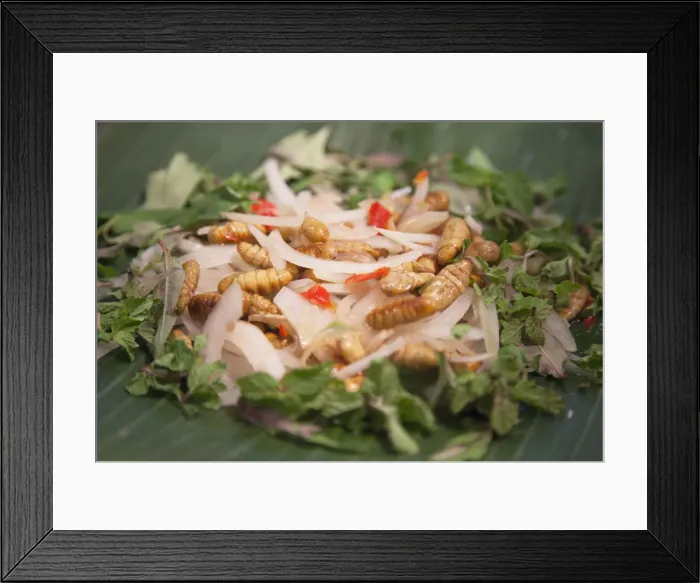 Framed Print : Silkworm salad, Hoi An (UNESCO World Heritage Site), Quang Ham, Vietnam Framed Print : Silkworm salad, Hoi An (UNESCO World Heritage Site), Quang Ham, Vietnam