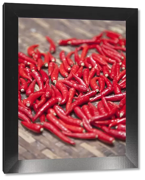 Red chillies, Hoi An (UNESCO World Heritage Site), Quang Ham, Vietnam