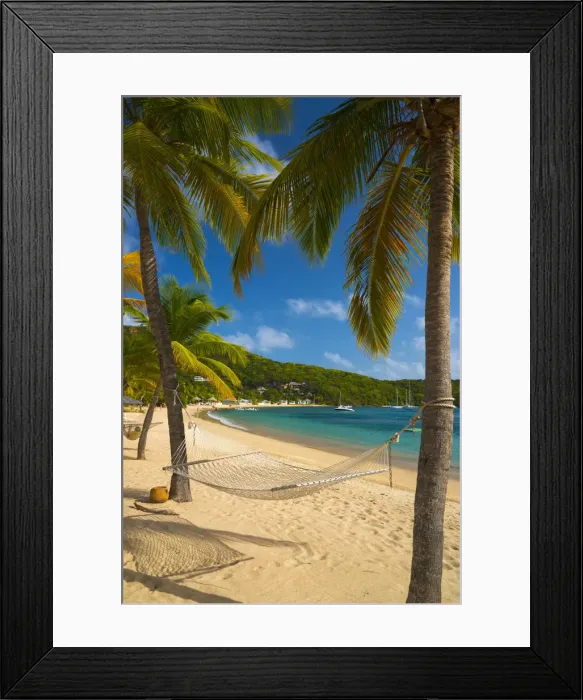 Framed Print : Caribbean, Antigua, Freemans Bay, Galleon Beach, Hammock between Palm Trees Framed Print : Caribbean, Antigua, Freemans Bay, Galleon Beach, Hammock between Palm Trees