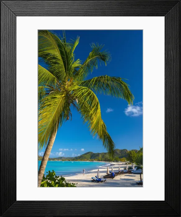 Framed Print : Antigua, Jolly Bay Beach Framed Print : Antigua, Jolly Bay Beach