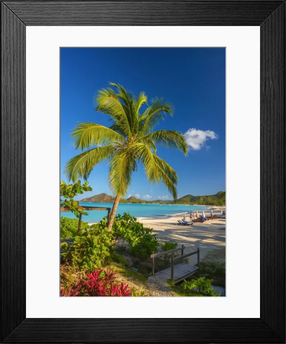 Framed Print : Antigua, Jolly Bay Beach Framed Print : Antigua, Jolly Bay Beach