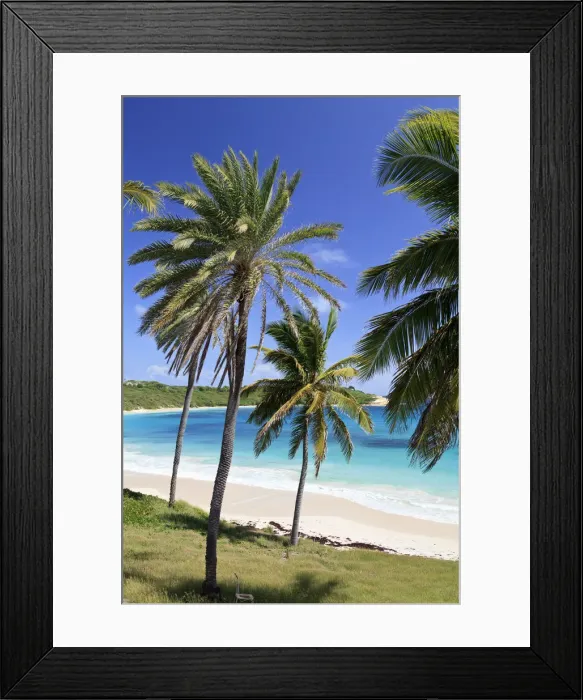 Framed Print : Caribbean, Antigua and Barbuda, Halfmoon Bay Framed Print : Caribbean, Antigua and Barbuda, Halfmoon Bay