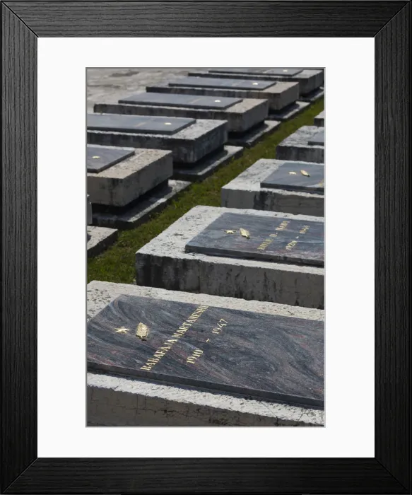 Framed Print : Albania, Tirana, Matrtyrs Cemetery
