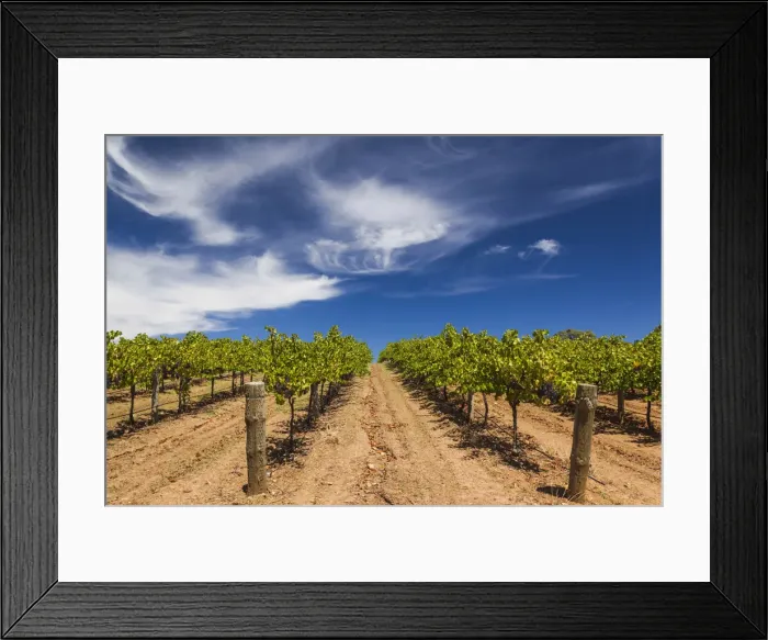 Framed Print : Australia, South Australia, Barossa Valley, Cockatoo Valley, vineyard Framed Print : Australia, South Australia, Barossa Valley, Cockatoo Valley, vineyard