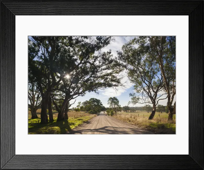 Framed Print : Australia, South Australia, Barossa Valley, Mount Pleasant, country road Framed Print : Australia, South Australia, Barossa Valley, Mount Pleasant, country road