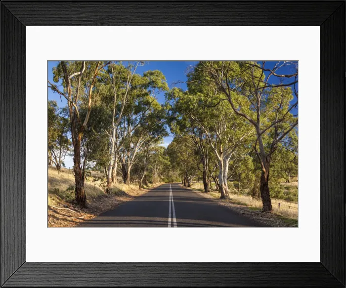 Framed Print : Australia, South Australia, Barossa Valley, Tanunda, country road, Menglers Hill Framed Print : Australia, South Australia, Barossa Valley, Tanunda, country road, Menglers Hill