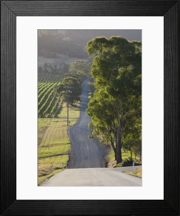 Framed Print : Australia, Victoria, VIC, Yarra Valley, country road Framed Print : Australia, Victoria, VIC, Yarra Valley, country road