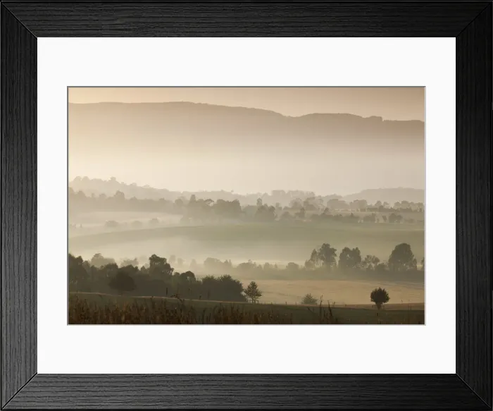 Framed Print : Australia, Victoria, VIC, Yarra Valley, landscape, dawn Framed Print : Australia, Victoria, VIC, Yarra Valley, landscape, dawn