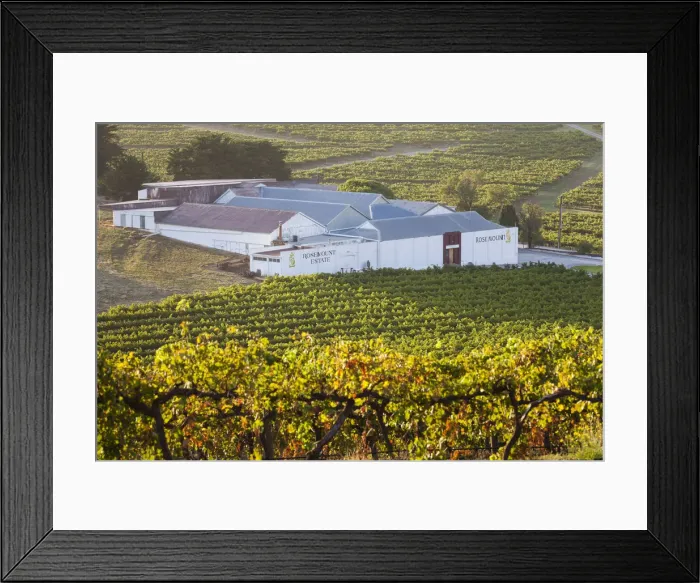 Framed Print : Australia, South Australia, Fleurieu Peninsula, McLaren Vale Wine Region, McLaren Vale