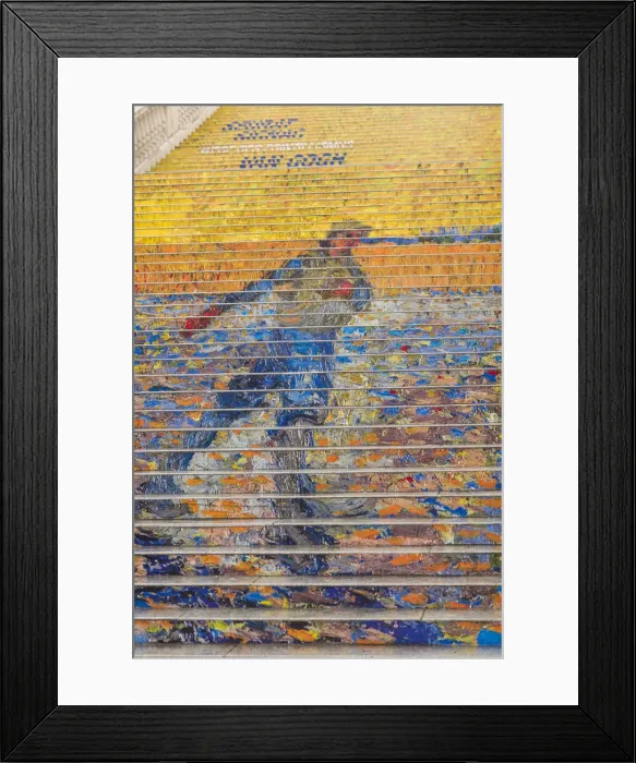 Framed Print : Austria, Vienna, Albertina Museum, steps decorated for Van Gogh exhibit Framed Print : Austria, Vienna, Albertina Museum, steps decorated for Van Gogh exhibit