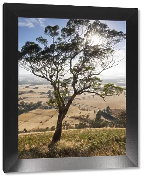 Australia, Victoria, VIC, Buninyong, elevated view of landscape from Mount Buninyong