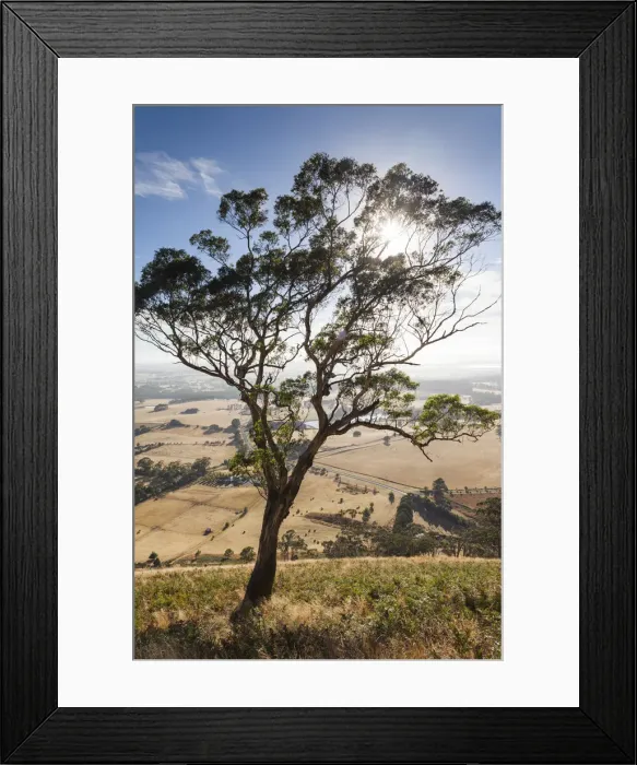 Framed Print : Australia, Victoria, VIC, Buninyong, elevated view of landscape from Mount Buninyong Framed Print : Australia, Victoria, VIC, Buninyong, elevated view of landscape from Mount Buninyong