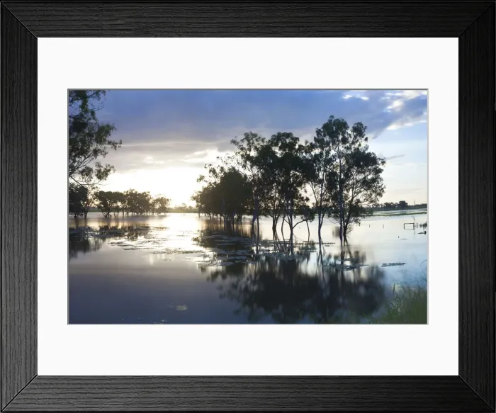 Framed Print : Trees & flooded creek, nr Rockhampton, Queensland, Australia Framed Print : Trees & flooded creek, nr Rockhampton, Queensland, Australia