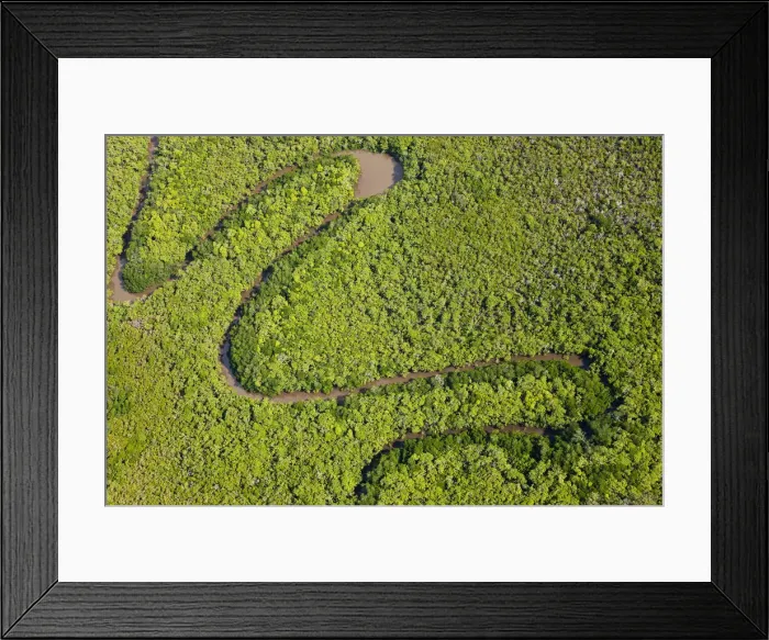Framed Print : Aerial view of rain forest, Daintree River, Daintree National Park, Queensland Australia Framed Print : Aerial view of rain forest, Daintree River, Daintree National Park, Queensland Australia