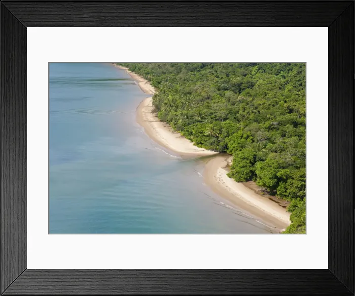 Framed Print : Aerial view of rain forest and beach, Daintree Forest, Daintree National Park, nr Cairns Framed Print : Aerial view of rain forest and beach, Daintree Forest, Daintree National Park, nr Cairns