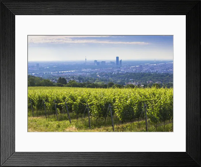 Framed Print : Austria, Vienna, View of the River Danube and Vienna looking towards Donau City Framed Print : Austria, Vienna, View of the River Danube and Vienna looking towards Donau City