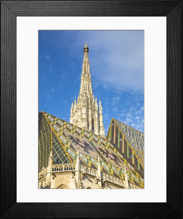Framed Print : Stephansdom cathedral, Vienna, Austria Framed Print : Stephansdom cathedral, Vienna, Austria