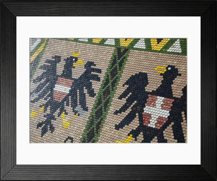 Framed Print : Stephansdom cathedral, Vienna, Austria Framed Print : Stephansdom cathedral, Vienna, Austria