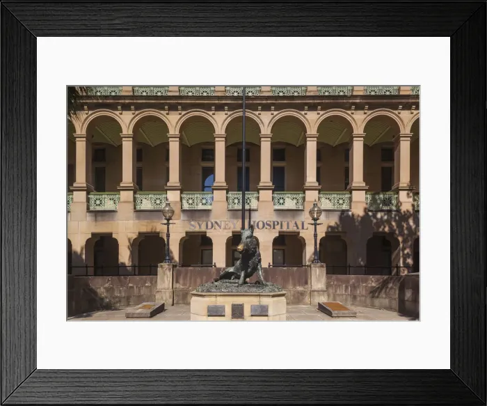 Framed Print : Australia, New South Wales, NSW, Sydney, Sydney Hospital, statue of the boar Il Porcellino Framed Print : Australia, New South Wales, NSW, Sydney, Sydney Hospital, statue of the boar Il Porcellino