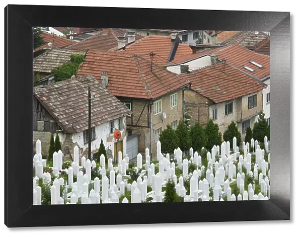 Bosnia and Herzegovina, Sarajevo, Muslim War Cemetery
