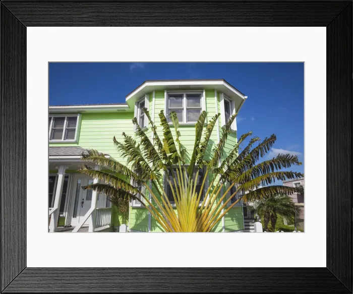 Framed Print : Bahamas, Abaco Islands, Green Turtle Cay, New Plymouth, Palm in garden of house Framed Print : Bahamas, Abaco Islands, Green Turtle Cay, New Plymouth, Palm in garden of house