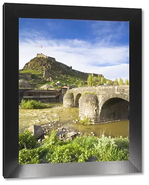 Turkey, Eastern Turkey, Kars, 15th century Tas Kopru, Stone bridge and Kars casstle