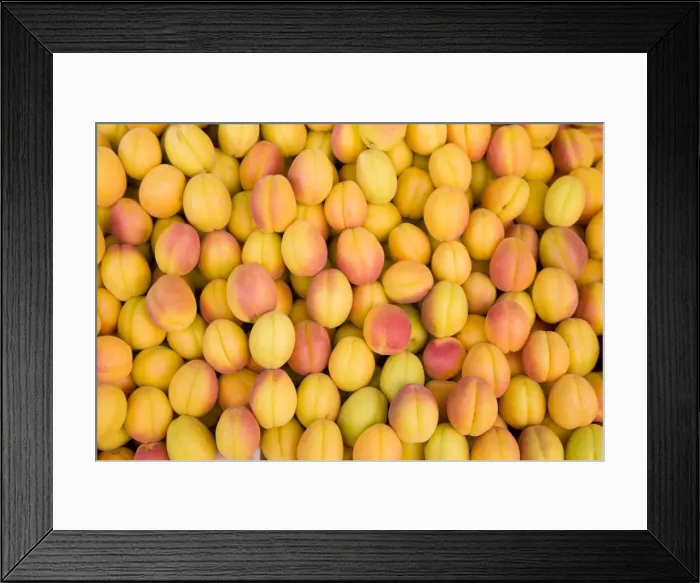 Framed Print : Turkey, Eastern Turkey, Malatya, Bazaar, Apricots Framed Print : Turkey, Eastern Turkey, Malatya, Bazaar, Apricots