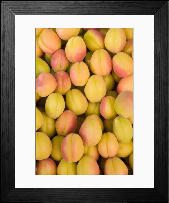Framed Print : Turkey, Eastern Turkey, Malatya, Bazaar, Apricots Framed Print : Turkey, Eastern Turkey, Malatya, Bazaar, Apricots