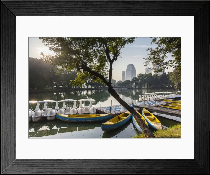 Framed Print : Thailand, Bangkok, Lumphini Area, Lumphini Park, swan-shaped paddle boats Framed Print : Thailand, Bangkok, Lumphini Area, Lumphini Park, swan-shaped paddle boats