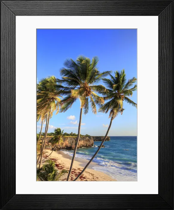 Framed Print : Caribbean, Barbados, Bottom Bay Beach