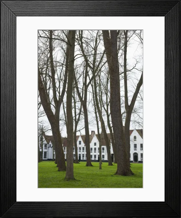 Framed Print : Belgium, Bruges, Begijnhof, 13th century convent, buildings Framed Print : Belgium, Bruges, Begijnhof, 13th century convent, buildings