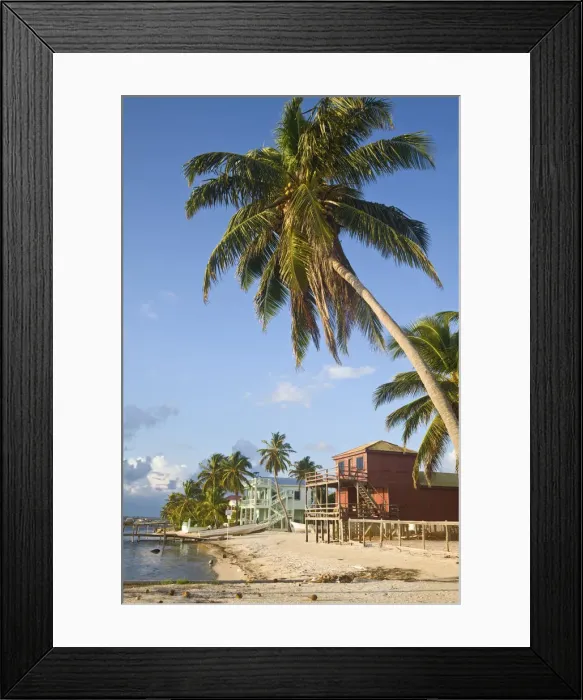 Framed Print : Belize, Caye Caulker, Beachfront hotels Framed Print : Belize, Caye Caulker, Beachfront hotels