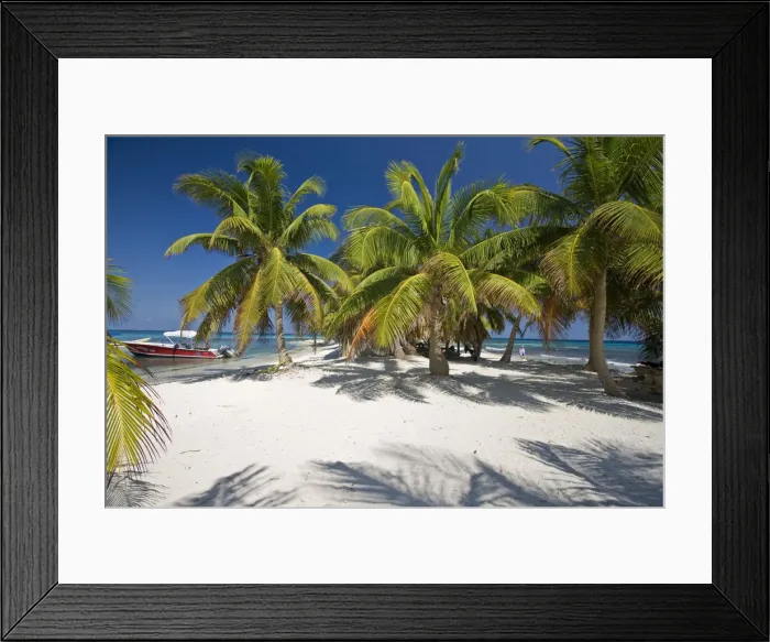 Framed Print : Belize, Beach at Laughing Bird Caye Framed Print : Belize, Beach at Laughing Bird Caye