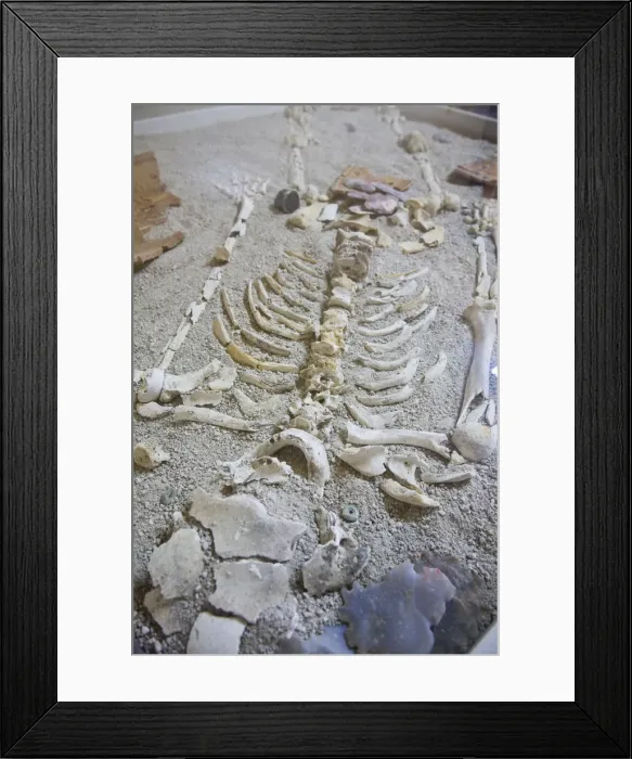 Framed Print : Belize, San Ignacio, Cahel Pech Ruins, Ancient Skeleton found in burial tomb Framed Print : Belize, San Ignacio, Cahel Pech Ruins, Ancient Skeleton found in burial tomb