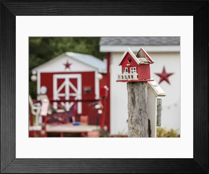 Framed Print : Canada, New Brunswick, Kennebecasis River Valley, Smiths Creek, birdhouses Framed Print : Canada, New Brunswick, Kennebecasis River Valley, Smiths Creek, birdhouses