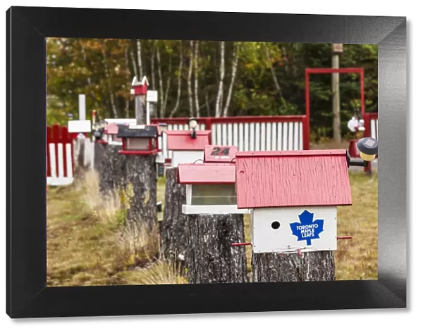 Canada, New Brunswick, Kennebecasis River Valley, Smiths Creek, birdhouses