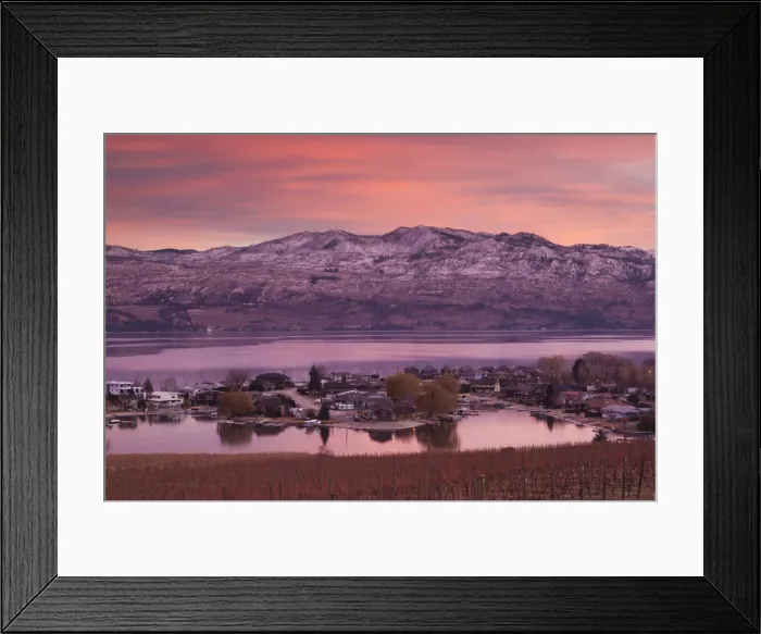 Framed Print : Canada, British Columbia, Okanagan Valley, West Kelowna, vineyard and lake