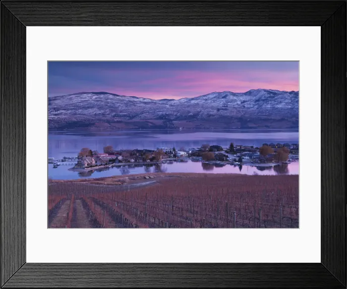 Framed Print : Canada, British Columbia, Okanagan Valley, West Kelowna, vineyard and lake Framed Print : Canada, British Columbia, Okanagan Valley, West Kelowna, vineyard and lake