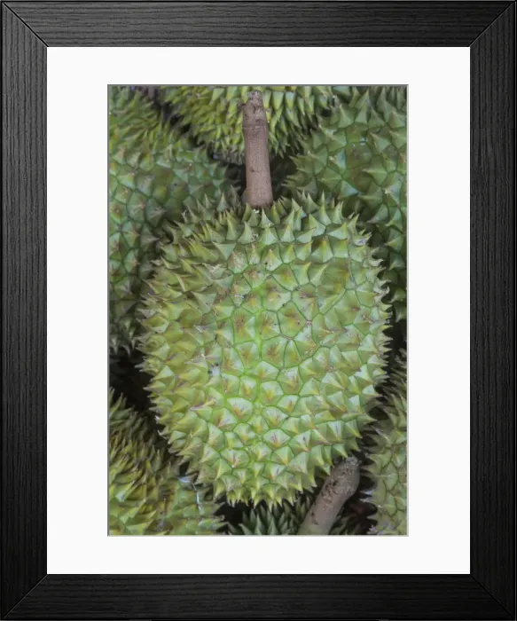 Framed Print : Vietnam, Ho Chi Minh City, Ben Thanh Market, Fruit Stall Display of Durians