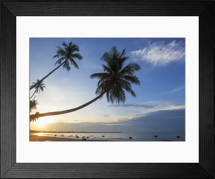 Framed Print : Vietnam, Mui Ne, Mui Ne Beach, Palm Trees at Sunrise Framed Print : Vietnam, Mui Ne, Mui Ne Beach, Palm Trees at Sunrise