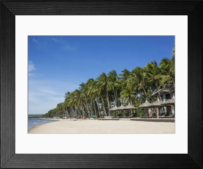 Framed Print : Vietnam, Mui Ne, Mui Ne Beach, Palm Trees Framed Print : Vietnam, Mui Ne, Mui Ne Beach, Palm Trees
