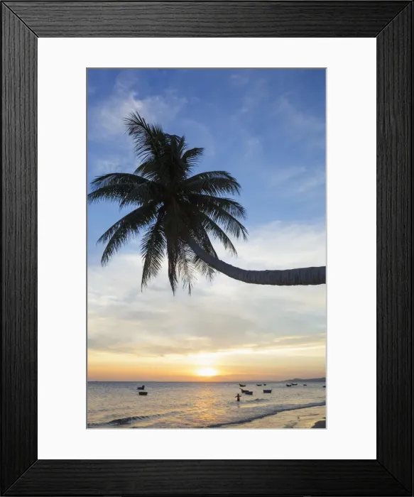 Framed Print : Vietnam, Mui Ne, Mui Ne Beach, Palm Trees at Sunset Framed Print : Vietnam, Mui Ne, Mui Ne Beach, Palm Trees at Sunset