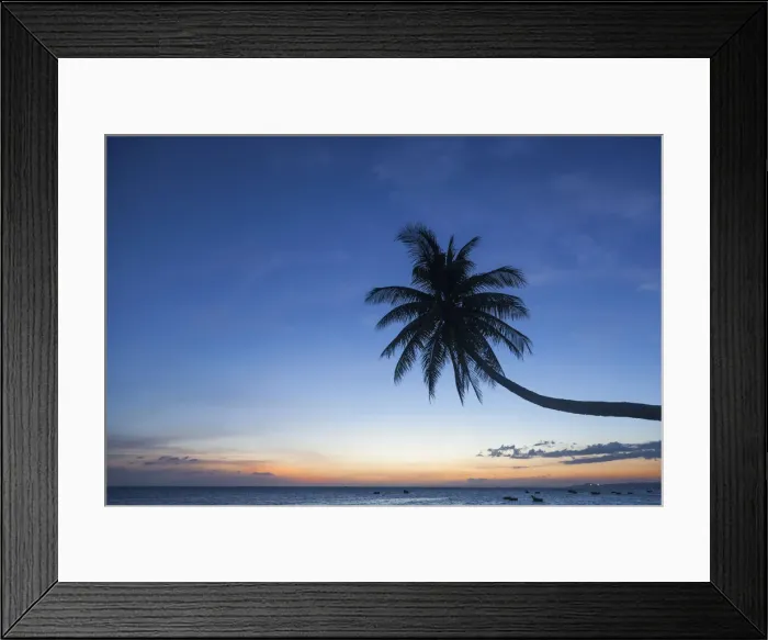 Framed Print : Vietnam, Mui Ne, Mui Ne Beach, Palm Trees at Sunset Framed Print : Vietnam, Mui Ne, Mui Ne Beach, Palm Trees at Sunset