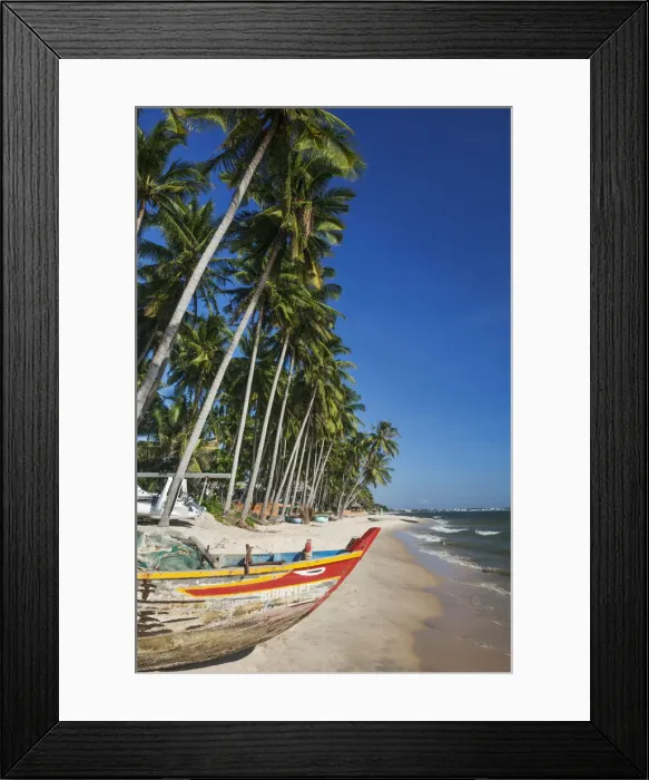 Framed Print : Vietnam, Mui Ne, Mui Ne Beach, Fishing Boat and Palm Trees Framed Print : Vietnam, Mui Ne, Mui Ne Beach, Fishing Boat and Palm Trees